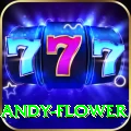 andy flower Premium v1.8.1