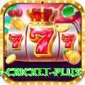 bet365 cricket Gaming Pro