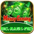 big bash Mega - Win Real PKR