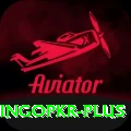 bingopkr Premium v5.2.2