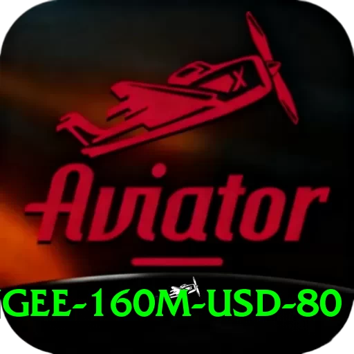 bungee 160m usd 80 Pro Edition v4.3.3 - 2