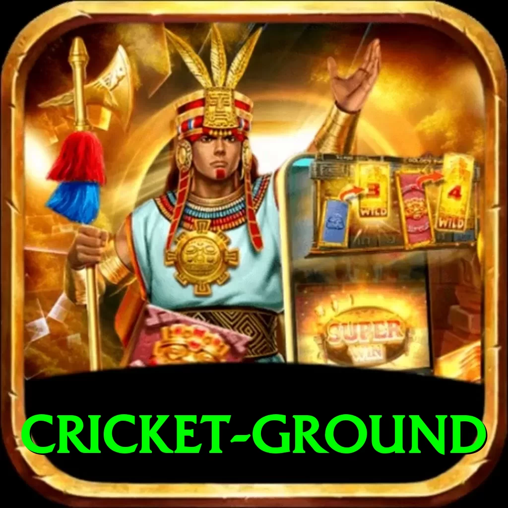 cricket ground VIP v2.8.5 - 2