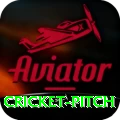 cricket pitch Games (Casino & Earning) Max v2.4.7