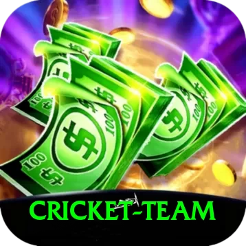cricket team VIP Edition v2.9.0 - 2