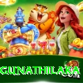 danushka gunathilaka Apps (Tools & Injectors) Plus v4.8.6
