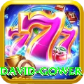 david gower VIP Edition v4.9.6