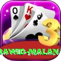 dawid malan Premium Plus v2.8.6