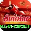 fastest ball in cricket Deluxe v1.2.0