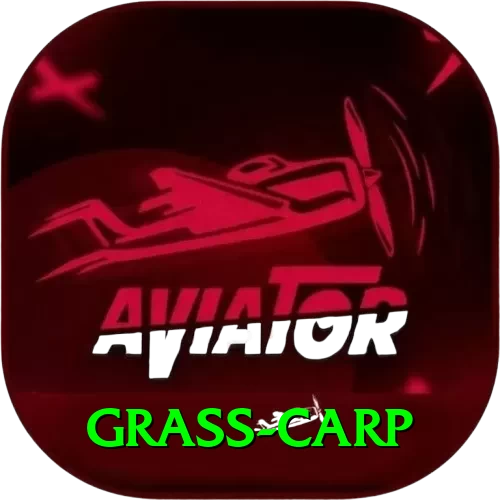grass carp Turbo v1.3.5 - 2