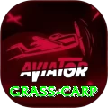 grass carp Turbo v1.3.5