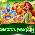 india cricket match Apps (Tools & Injectors) Turbo v4.9.3