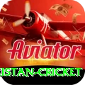 india pakistan cricket VIP v3.1.7