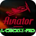 international cricket Gold v1.6.8