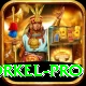 morne morkel - Slots Premium