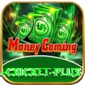 most runs in international cricket VIP APK v2.2.3