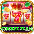 new zealand cricket team Apps (Tools & Injectors) Deluxe v4.0.1