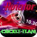pakistan women cricket team Games (Casino & Earning) Turbo v2.5.2