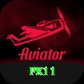 pk11 Pro Edition v5.7.5