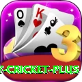play cricket - Deluxe Earning App