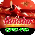 q789 Slots Mega v4.2.8