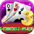 r cricket - Live Champion