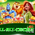risk free bet cricket Apps (Tools & Injectors) Gold v5.8.3