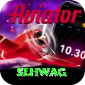 sehwag Elite Pro v2.6.9
