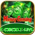 smart cricket live Plus v2.0.7