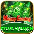 steve waugh Turbo v2.4.0