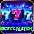 to day cricket match Master Pro v5.6.3