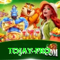 tojay Casino Official v2.2.9