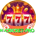 willow cricket Super v3.4.9