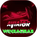 winbaobab Elite v5.4.3